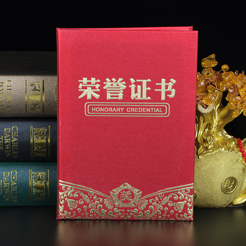 (致祥)带奖荣誉证书