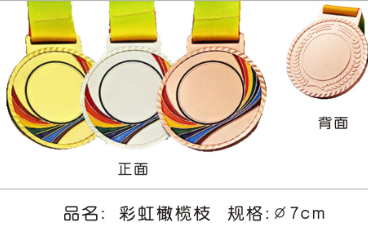 6.7cm彩虹橄榄枝金属奖牌