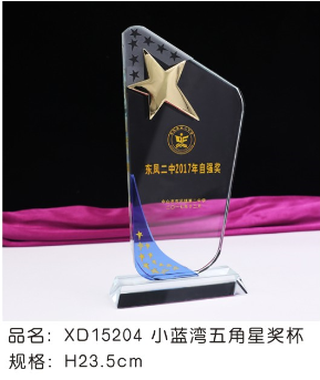 XD15204小蓝弯金属五角星奖杯