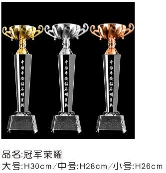 冠军荣耀高级奖杯 (银)