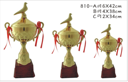 810C奖杯