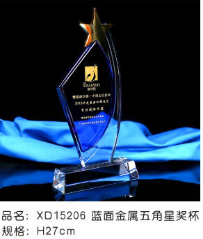 XD15206兰面金属五角星奖杯