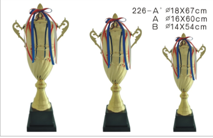 226A+奖杯