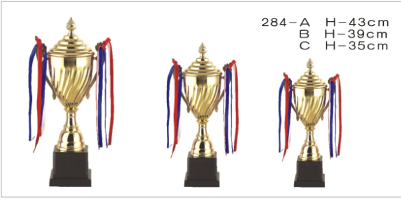 284B奖杯H39.5cm