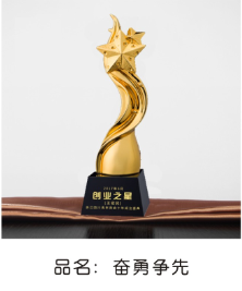 奋勇争先高级奖杯