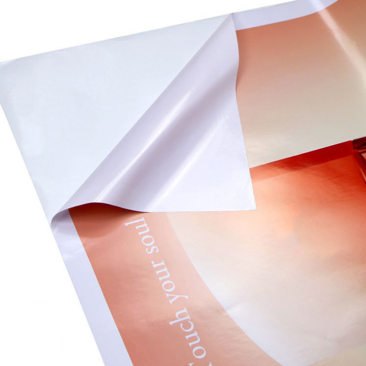 （可移）白胶｜黑胶车贴-户外写真