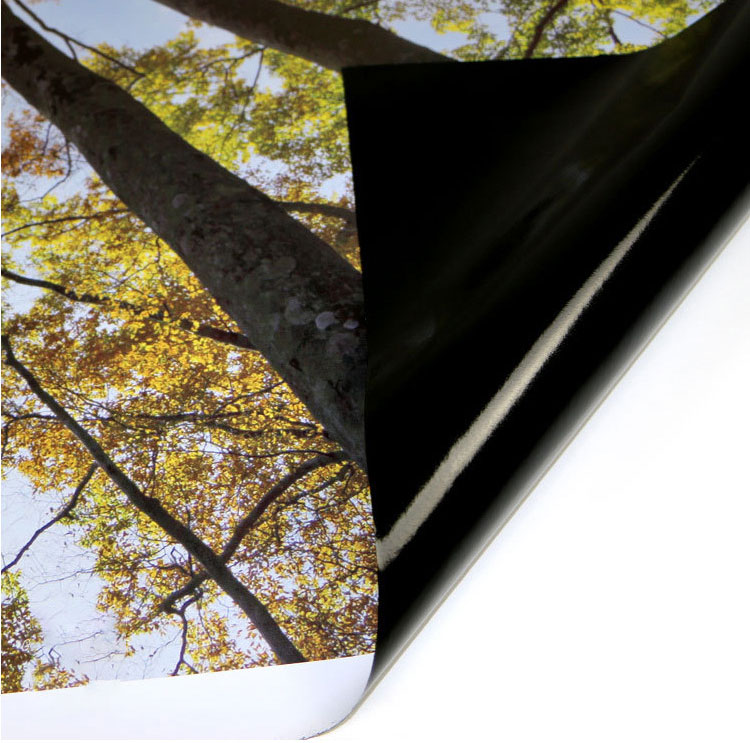 黑胶车贴-户外写真
