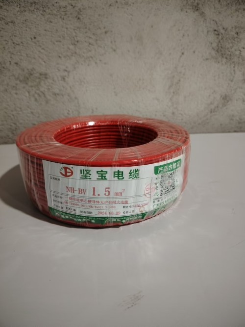 坚宝耐火单股NH-BV