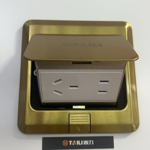 泰力TDC-LJ01金色不锈钢阻尼款五孔地插(新国标)