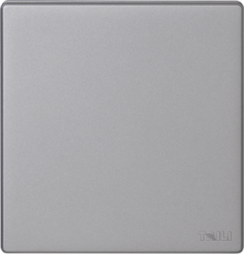 泰力V5一位10AX 250V 多控开关 浅灰色 10A