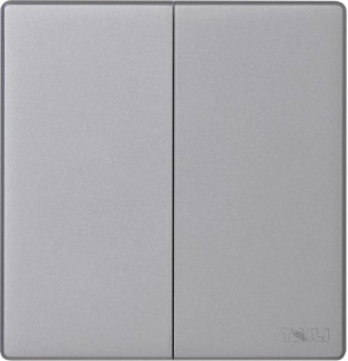 泰力V5二位10AX250V单极开关浅灰色10A