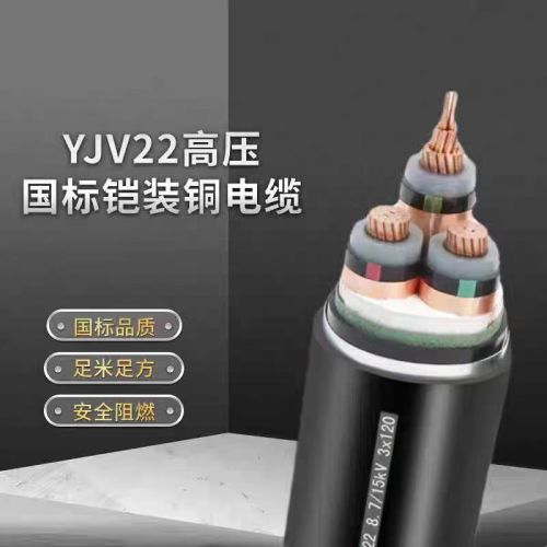 坚宝国标中压带铠电缆ZC-YJV22-8.7/15KV