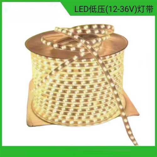 LED低压灯带（12-36V)36V-3038-120D透镜款灯带10mm-白光