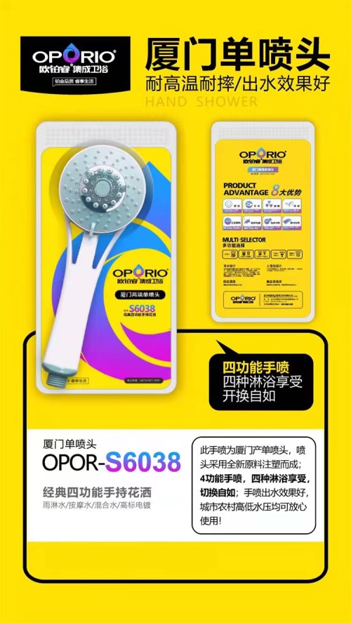 经典三功能花洒单喷头S6038