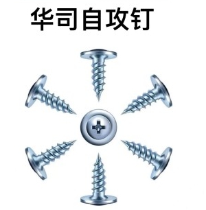 高强华司自攻钉