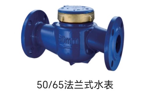 大口径水表/法兰水