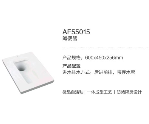 箭牌蹲便器AF55015(600*450*256mm)