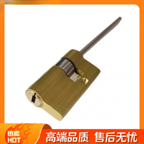 指纹锁电子锁芯 55p15