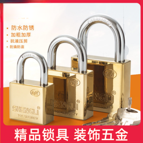 圣力内雕铜芯叶片挂锁