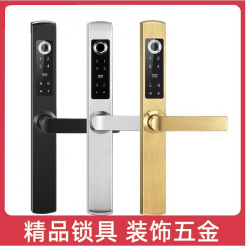 特畅恒D3断桥铝/黑指纹锁