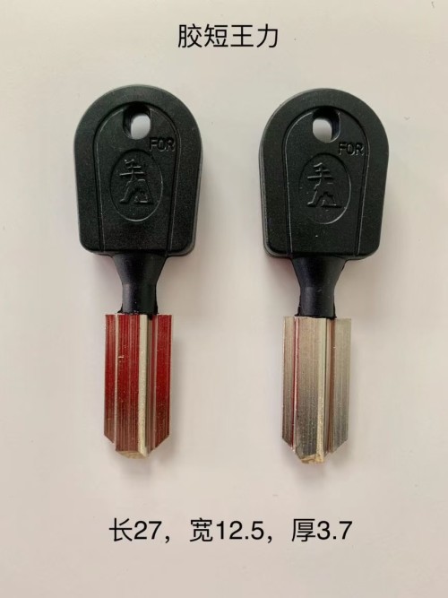 胶短王力（先牌）钥匙胚