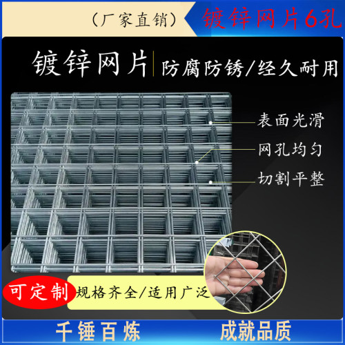 镀锌网片 6公分孔