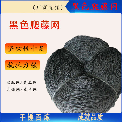 黑色爬藤网，果网 