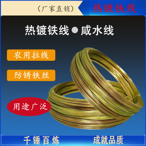 热镀铁线咸水线