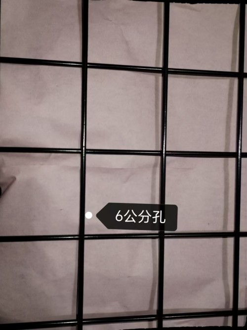 喷漆6公分黑网片6公分孔350#