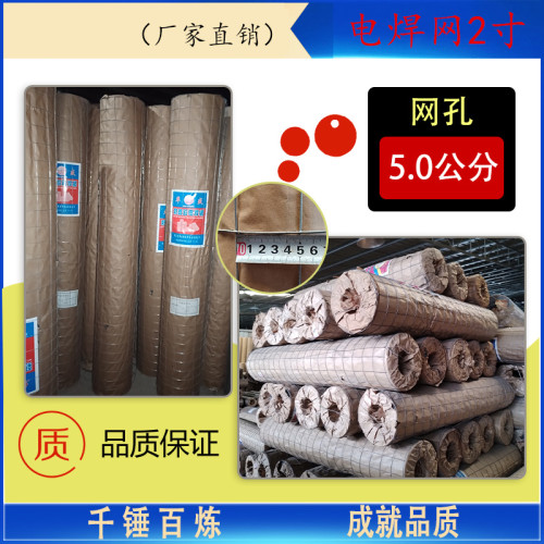 后热镀锌电焊网 2寸1米高 5公分孔150丝18米
