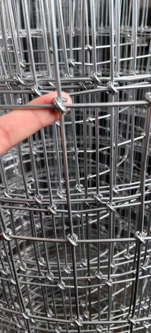 马网国际鹿网2.5线，7.5*10孔1.5米*10米/卷