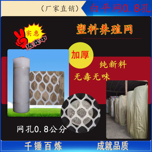 塑料平网白色08孔