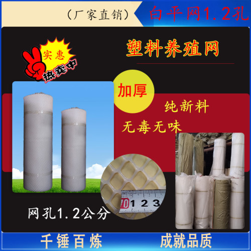 塑料平网 白色1.2孔