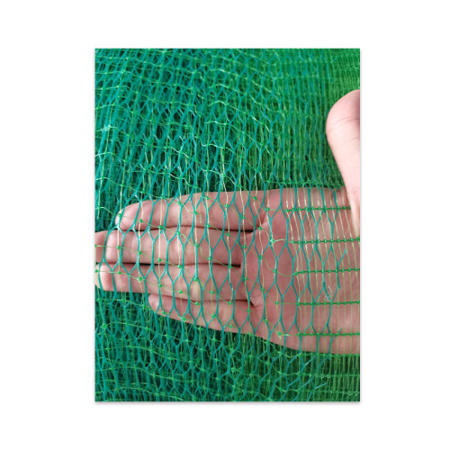 三维网，种植网