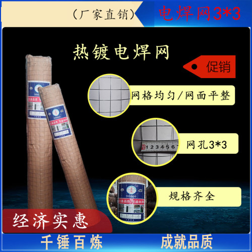 热镀电焊网3公分孔