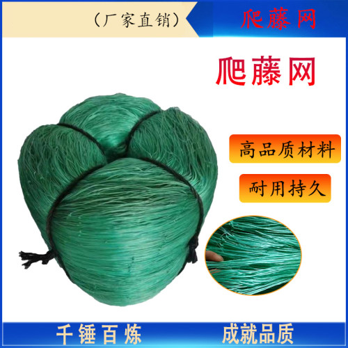爬藤网，果网新料青色