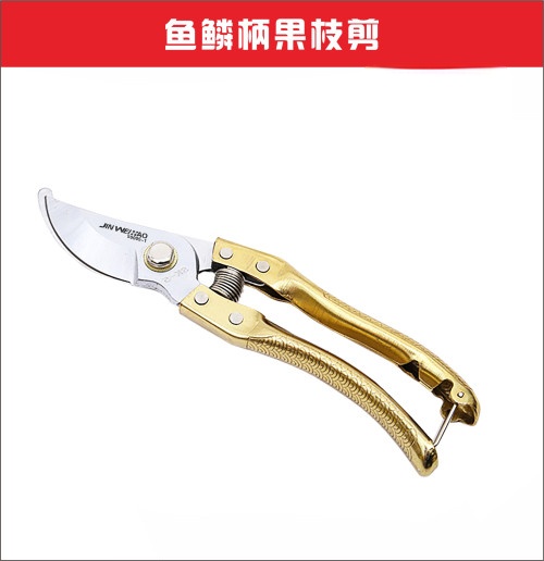 金伟豪鱼鳞柄果枝剪