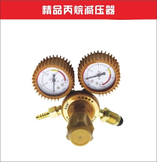 金伟豪精品丙烷减压器 0.08pa