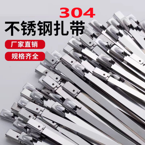 304不锈钢扎带拉紧器抱箍尼龙扎带