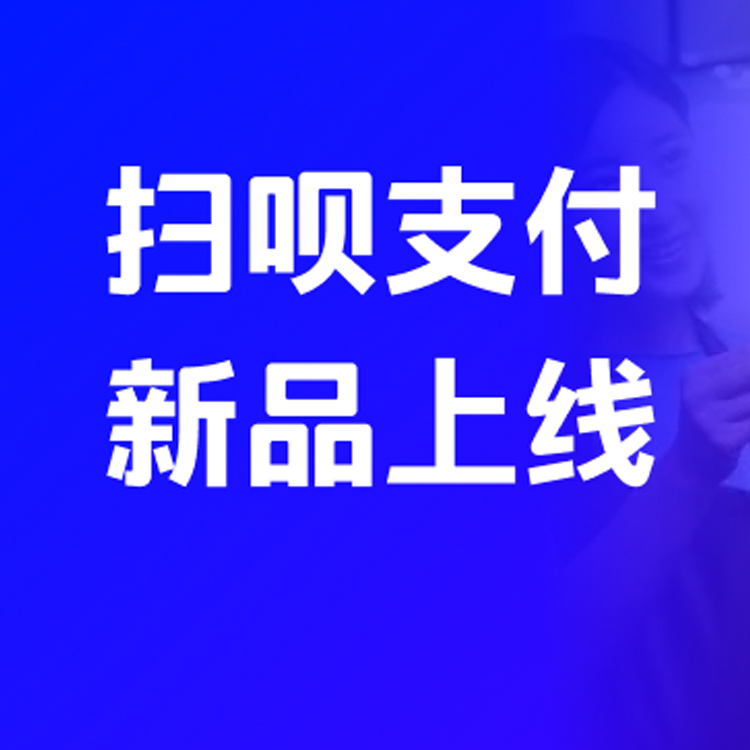 扫呗支付